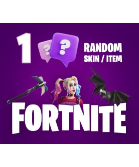 1 Random Fortnite Skin / Item PC Epic Games Epic Games Key GLOBAL